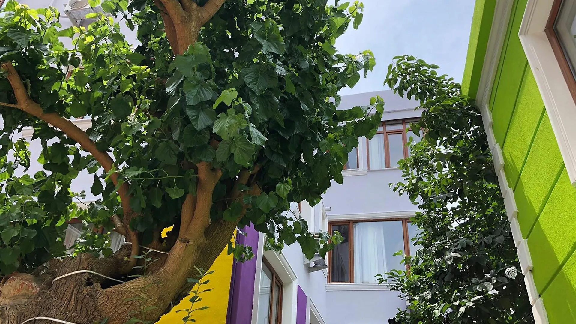 Hotel The Zanadu Istanbul